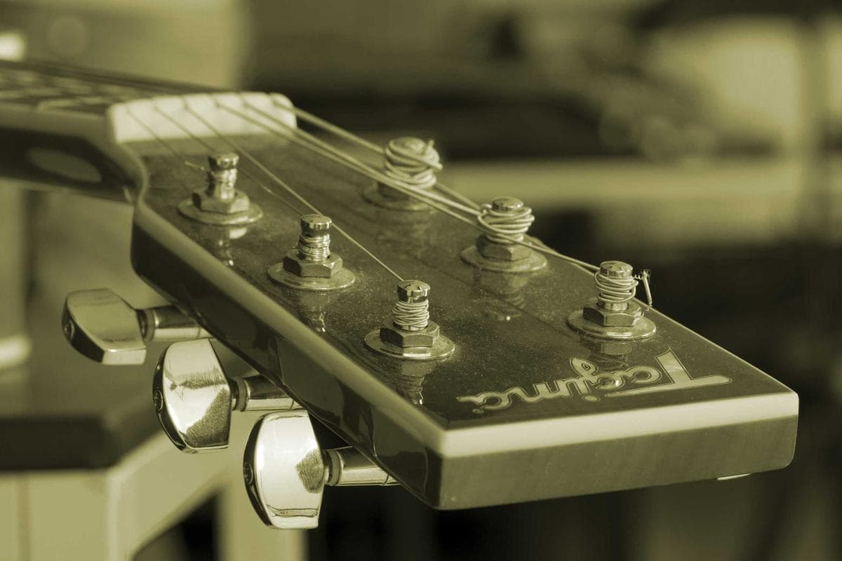 Acoustic guitar headstock in close-up