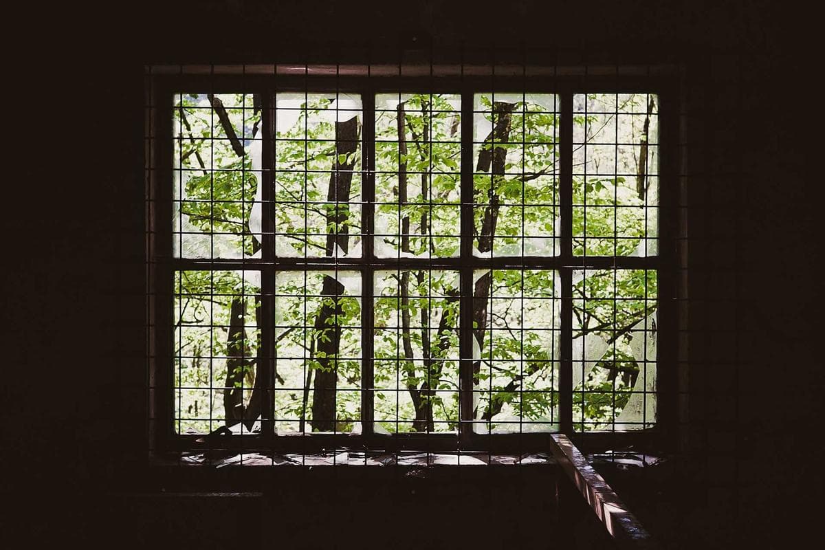Interior light through a gridded industrial window